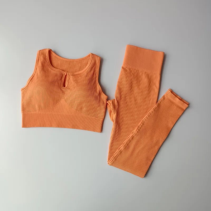 Conjunto Yoga Seamless 2 Peças - Roupas Fitness Femininas